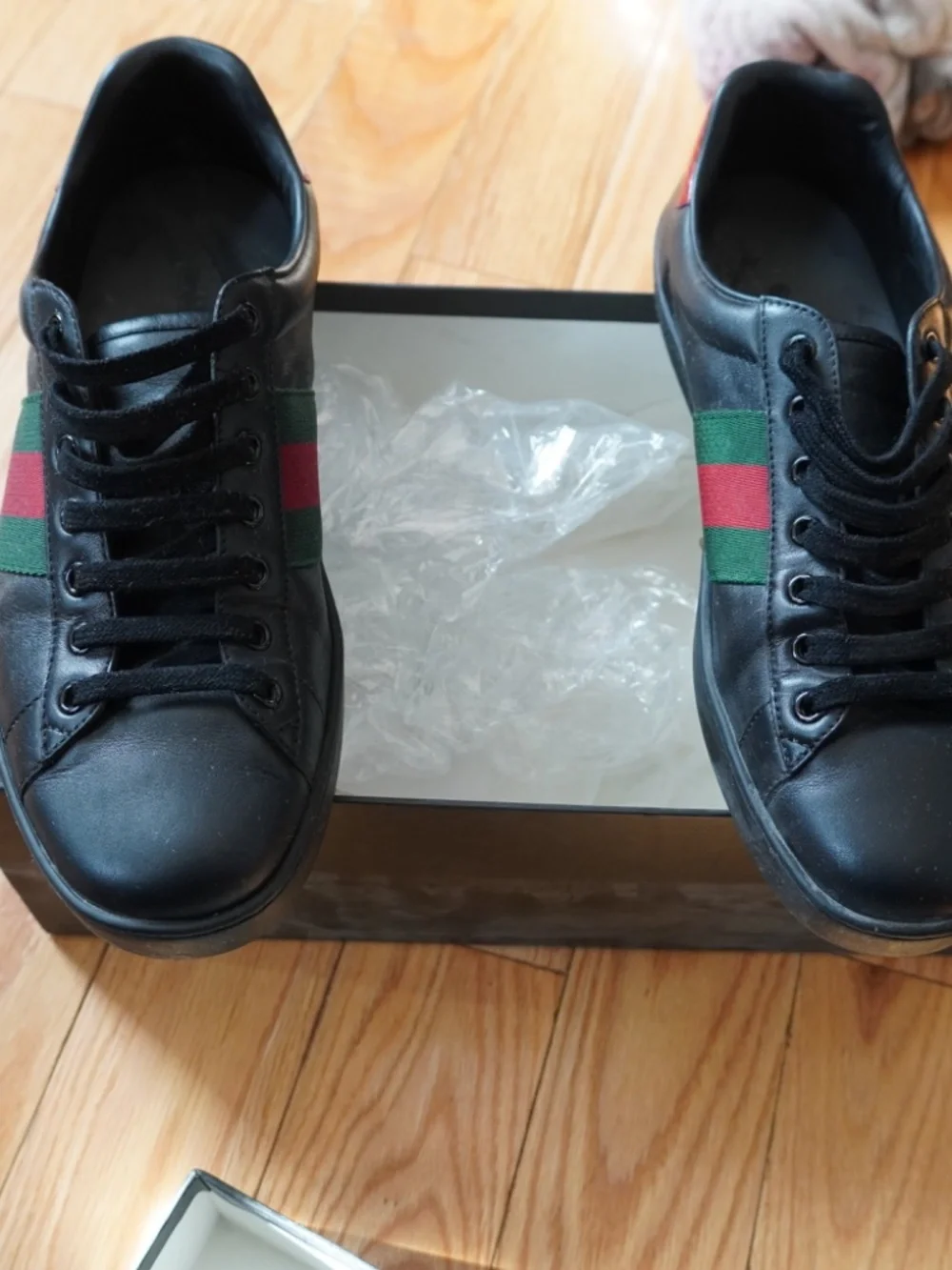 GUCCI Ace sneakers
